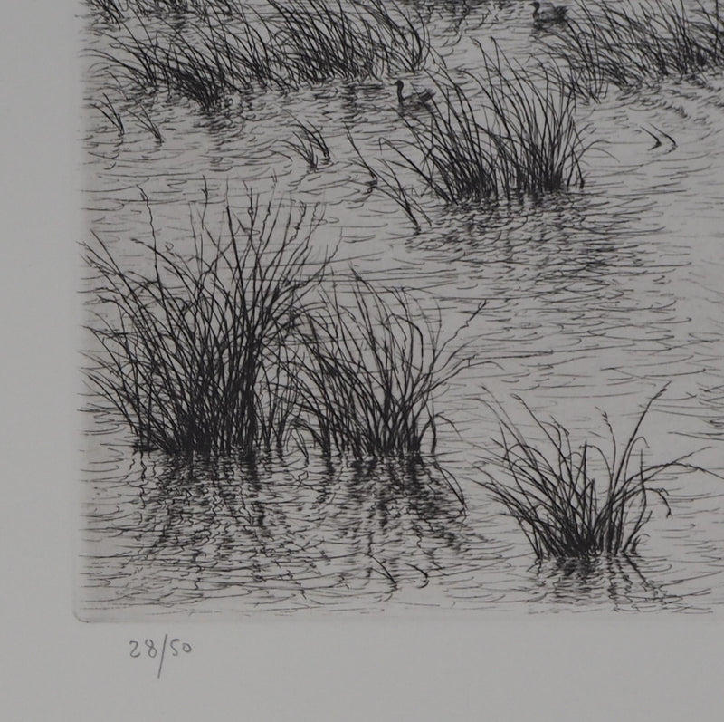 Aymar DE LEZARDIERE : Paysage inondé - Gravure (détail)