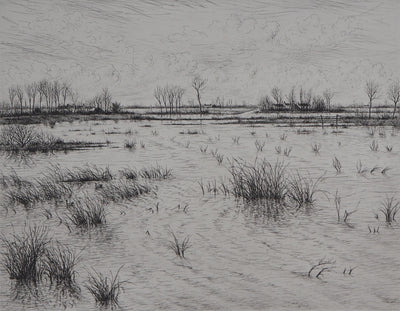 Aymar DE LEZARDIERE : Paysage inondé - Gravure (détail)