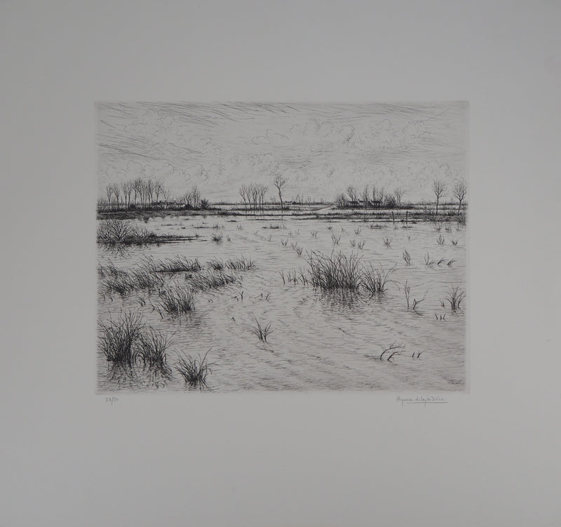Aymar DE LEZARDIERE : Paysage inondé - Gravure (détail)