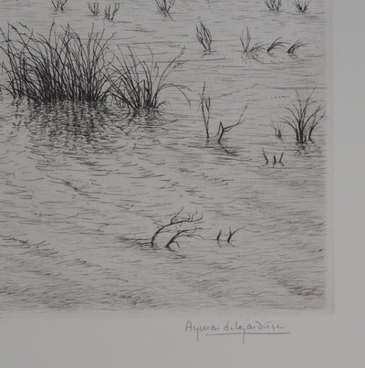 Aymar DE LEZARDIERE : Paysage inondé - Gravure (détail)