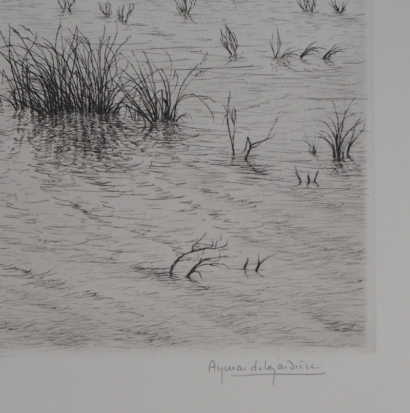 Aymar DE LEZARDIERE : Paysage inondé - Gravure (détail)