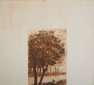 Auguste DELATRE : Les Marais, 1850 - Gravure (détail)