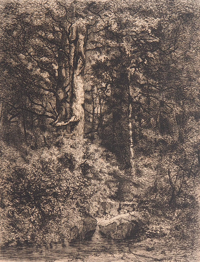 Alfred-Alexandre DELAUNEY : L'Etang à l'orée d'un bois, 1871 - Gravure