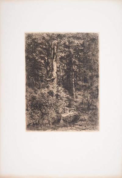 Alfred-Alexandre DELAUNEY : L'Etang à l'orée d'un bois, 1871 - Gravure (détail)