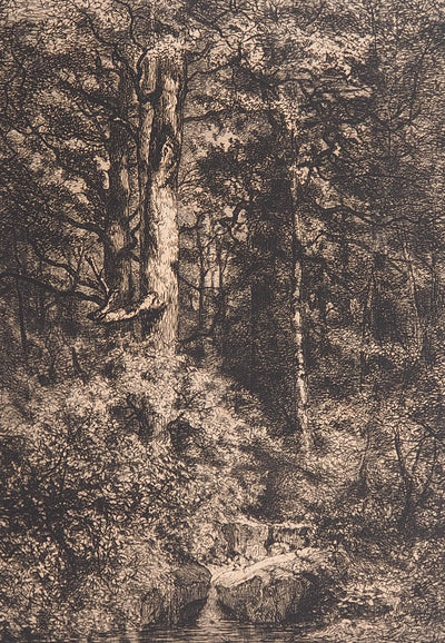 Alfred-Alexandre DELAUNEY : L'Etang à l'orée d'un bois, 1871 - Gravure (détail)