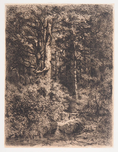 Alfred-Alexandre DELAUNEY : L'Etang à l'orée d'un bois, 1871 - Gravure (détail)