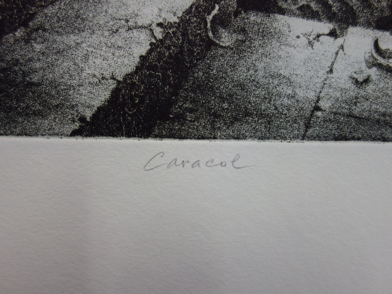 Pierre DELVINCOURT : Caracol - Gravure (détail)