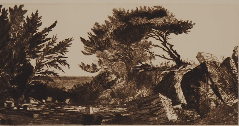 Fernand DIAZ : Espace naturel, 1983 - Gravure