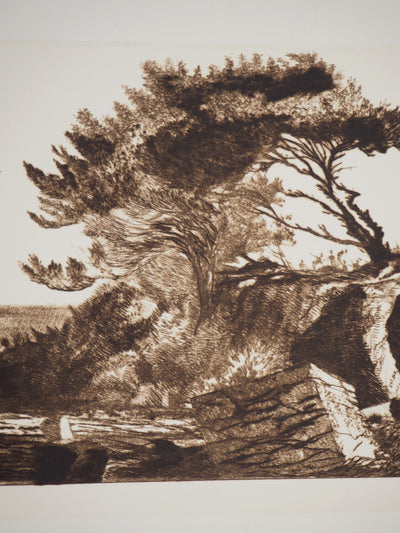 Fernand DIAZ : Espace naturel, 1983 - Gravure (détail)