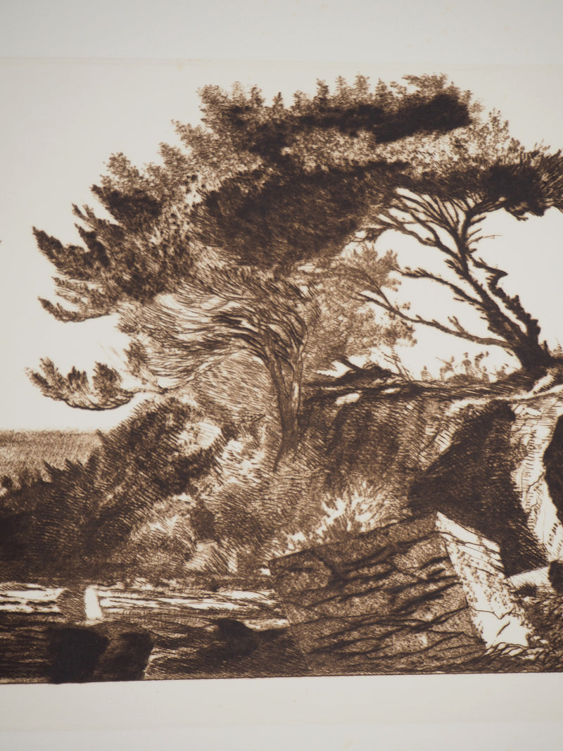Fernand DIAZ : Espace naturel, 1983 - Gravure (détail)