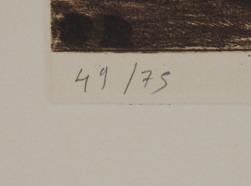 Fernand DIAZ : Espace naturel, 1983 - Gravure (détail)