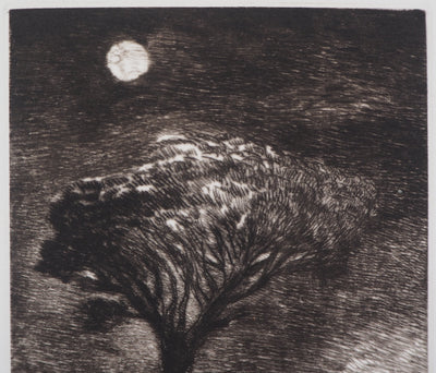 Gérard DIAZ : Minuit au lac, 1986 - Gravure (détail)