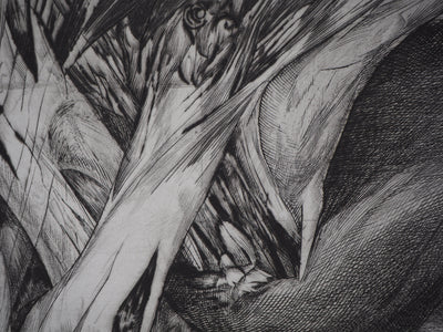 Yves DOARE : Chimère n°1 - Gravure (détail)