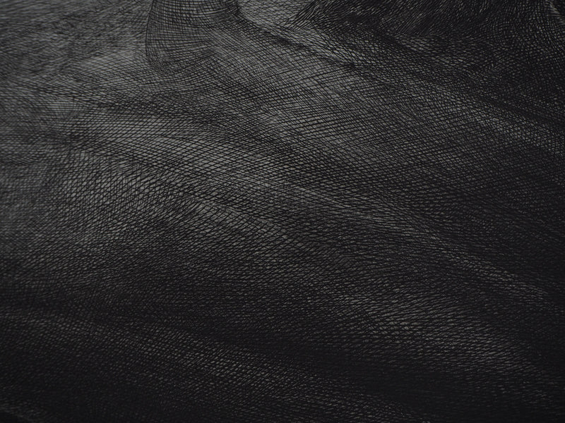 Yves DOARE : Chimère n°1 - Gravure (détail)