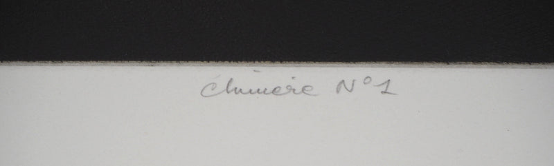 Yves DOARE : Chimère n°1 - Gravure (détail)