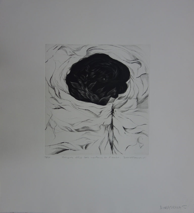 T. DONATELLA : Songes vêtus des couleurs de l&