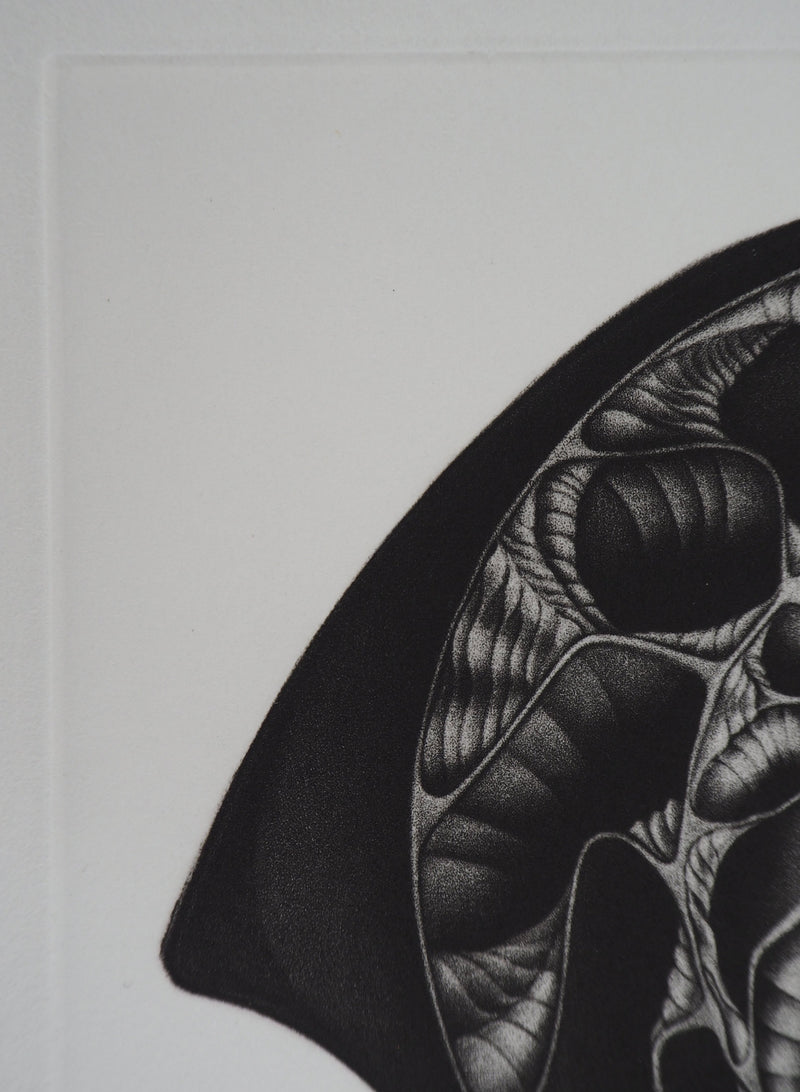  DONATELLA T : Naissance - Gravure (détail)