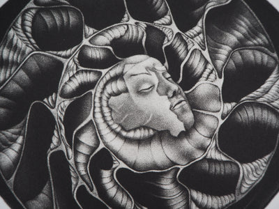  DONATELLA T : Naissance - Gravure (détail)