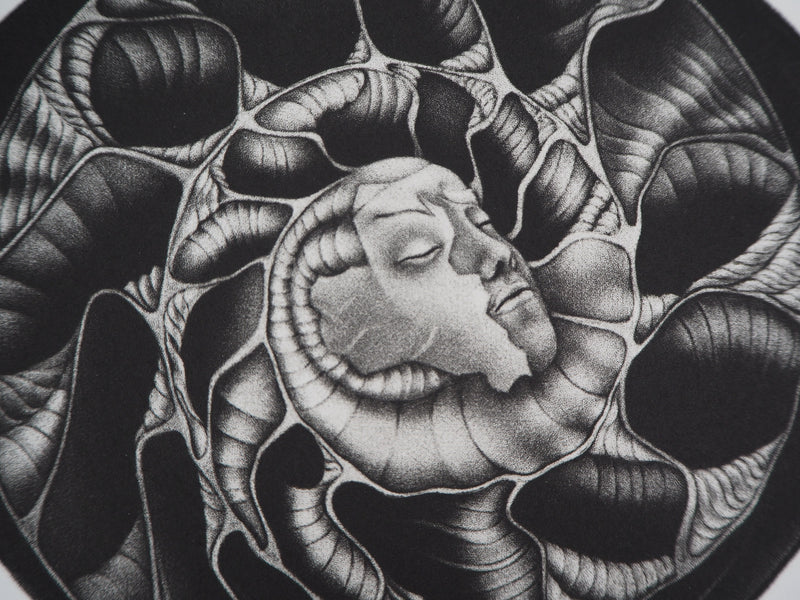  DONATELLA T : Naissance - Gravure (détail)