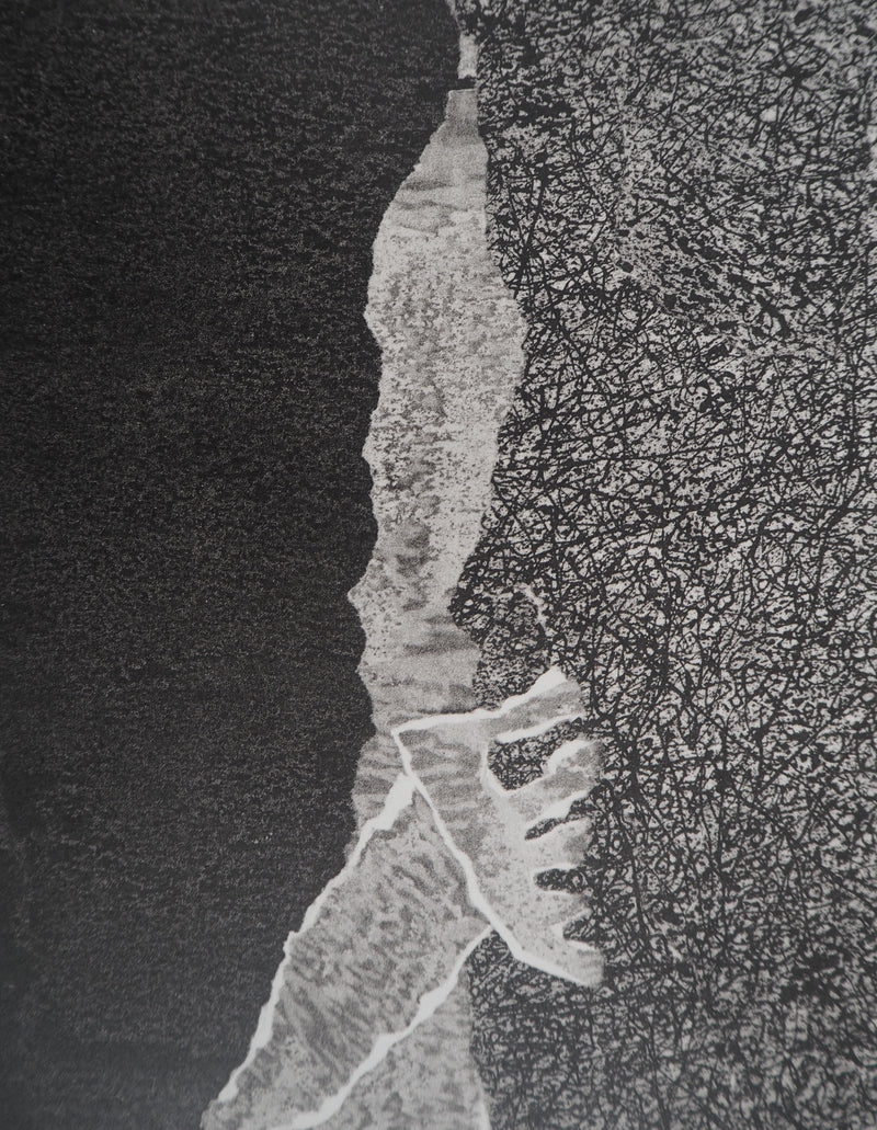 Jean DUBUFFET : Barbe des perplexités - Lithographie (détail)