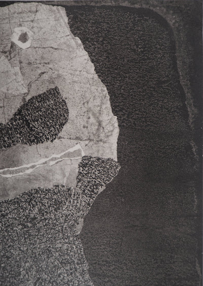 Jean DUBUFFET : Barbe des perplexités - Lithographie (détail)