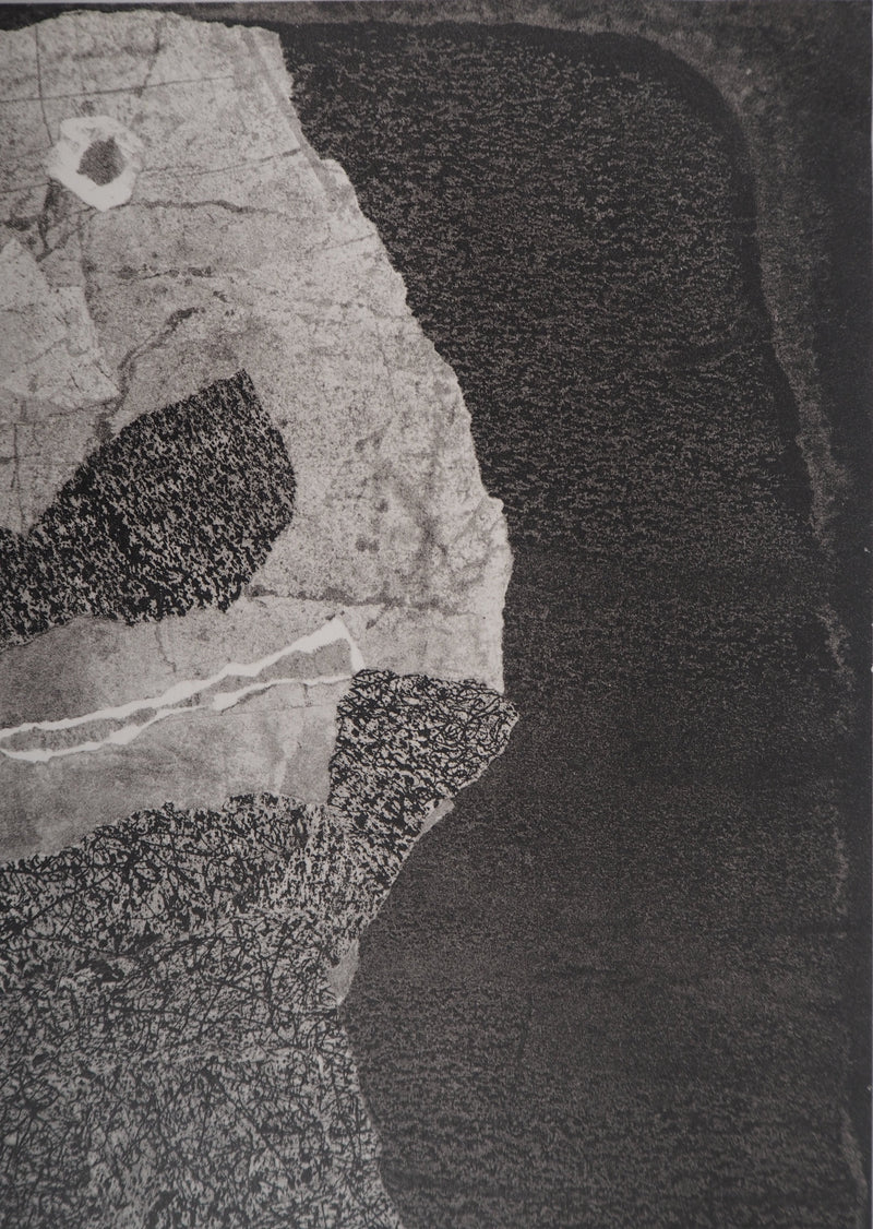 Jean DUBUFFET : Barbe des perplexités - Lithographie (détail)
