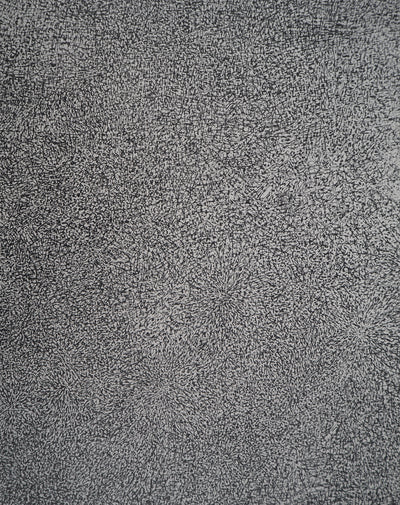 Jean DUBUFFET : Prairie de Barbe  - Sérigraphie (détail)