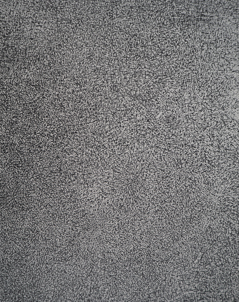 Jean DUBUFFET : Prairie de Barbe  - Sérigraphie (détail)