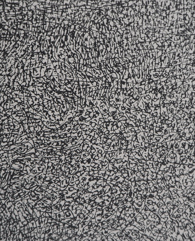 Jean DUBUFFET : Prairie de Barbe  - Sérigraphie (détail)