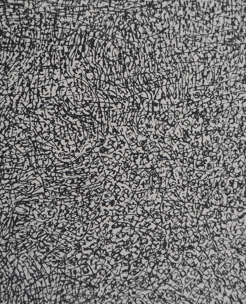 Jean DUBUFFET : Prairie de Barbe  - Sérigraphie (détail)