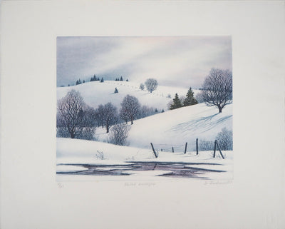 Darrell DUCHENE : Vallée enneigée, 1981 - Gravure