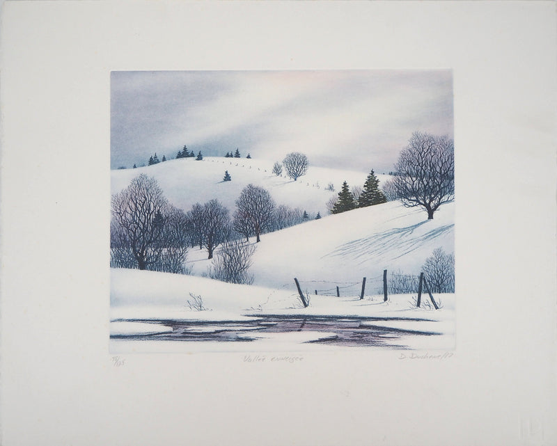 Darrell DUCHENE : Vallée enneigée, 1981 - Gravure