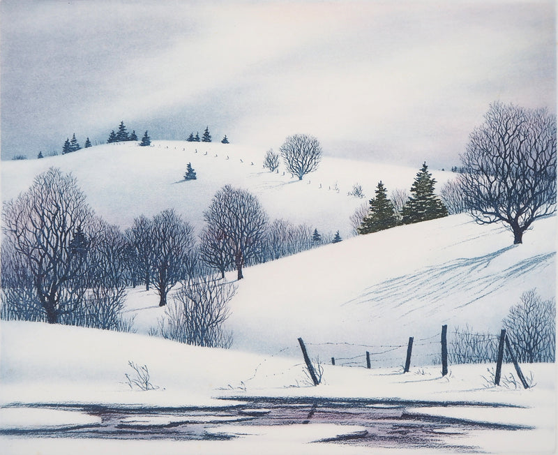 Darrell DUCHENE : Vallée enneigée, 1981 - Gravure (détail)