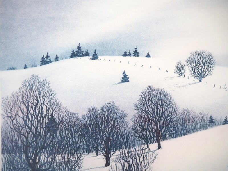 Darrell DUCHENE : Vallée enneigée, 1981 - Gravure (détail)
