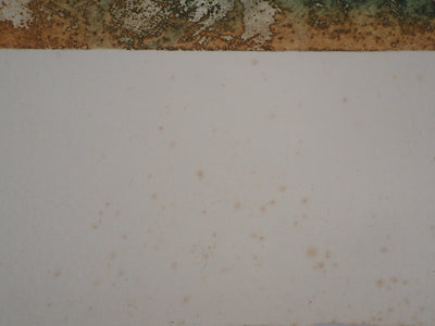 Jean DUPUIS : Violon Soliste - Gravure (détail)