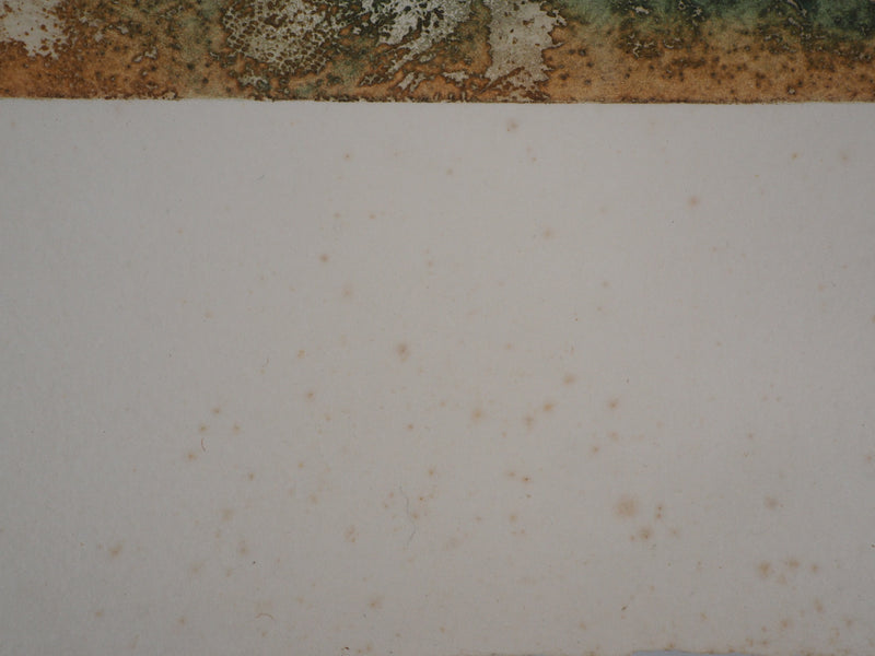 Jean DUPUIS : Violon Soliste - Gravure (détail)