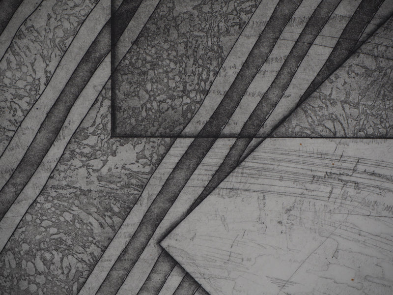 Awad EL SHIMY : Odalisque n°34 - Gravure (détail)