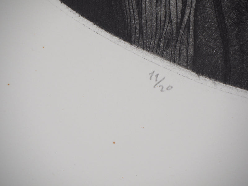 Awad EL SHIMY : Odalisque n°34 - Gravure (détail)