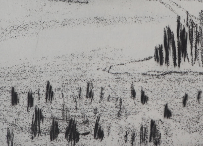 Véra FABRE : La plaine - Gravure (détail)