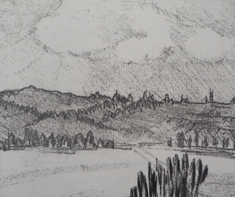Véra FABRE : La plaine - Gravure (détail)