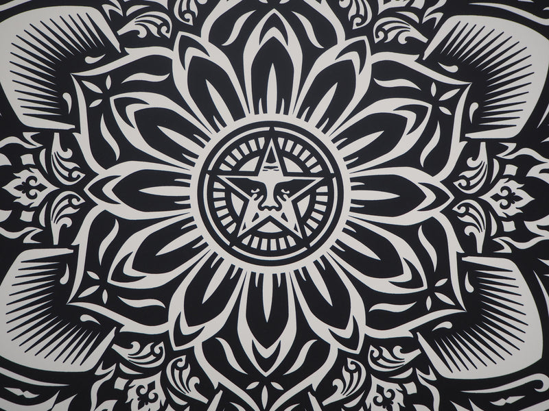 Shepard Fairey : PAX ROMANA, 2020 - Sérigraphie (détail)