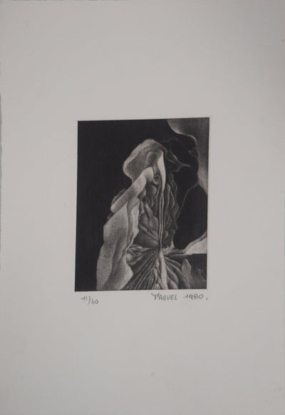 Jean-Luc FAUVEL : Onirique, 1980 - Gravure (détail)