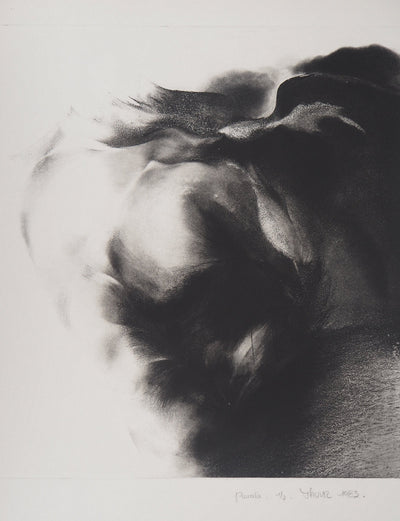 Jean-Luc FAUVEL : Paysage onirique (Pluralis), 1985 - Gravure (détail)