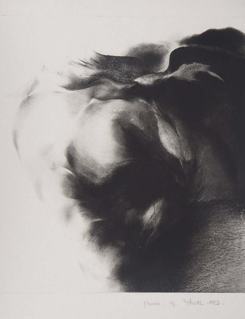 Jean-Luc FAUVEL : Paysage onirique (Pluralis), 1985 - Gravure (détail)