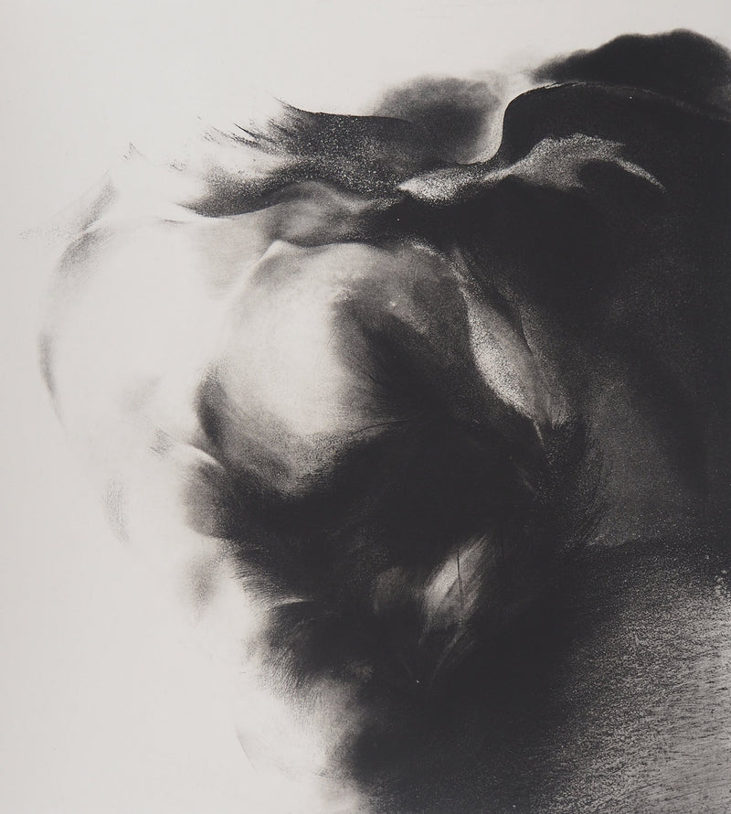 Jean-Luc FAUVEL : Paysage onirique (Pluralis), 1985 - Gravure (détail)