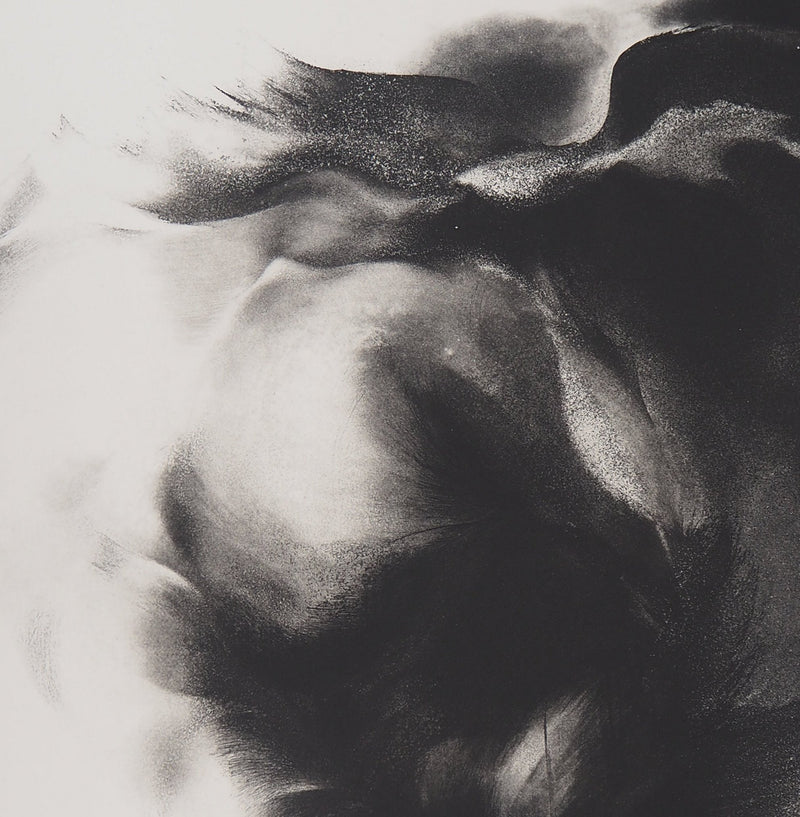 Jean-Luc FAUVEL : Paysage onirique (Pluralis), 1985 - Gravure (détail)