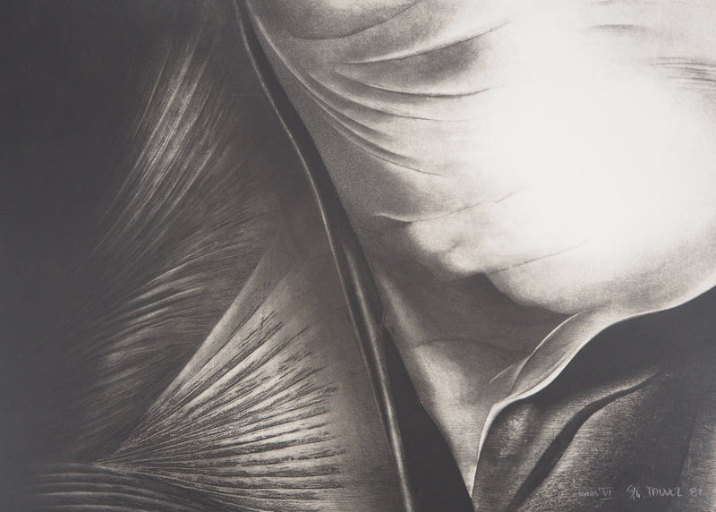 Jean-Luc FAUVEL : Paysage surréaliste (Trans VI), 1981 - Gravure