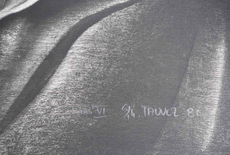 Jean-Luc FAUVEL : Paysage surréaliste (Trans VI), 1981 - Gravure (détail)