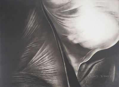 Jean-Luc FAUVEL : Paysage surréaliste (Trans VI), 1981 - Gravure (détail)