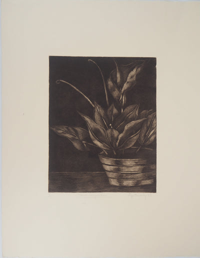 Iya FERNANDEZ : Flower Composition - Gravure